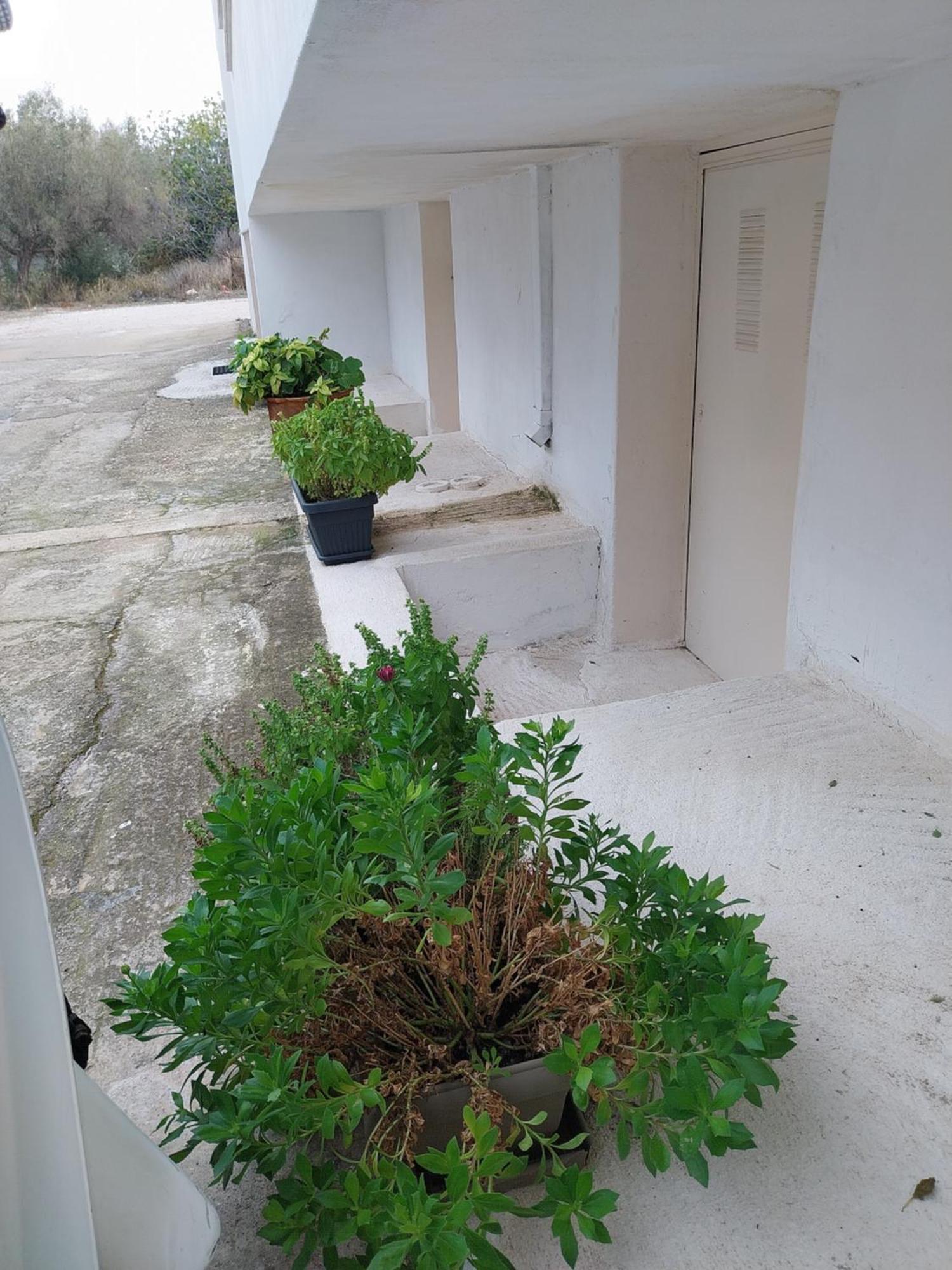 Nav Apart, Salamina Paloukia Exterior photo